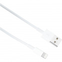 Cable APPLE Lightning To USB cable 2 M