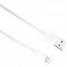 Cable APPLE Lightning To USB cable 2 M