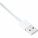 Cable APPLE Lightning To USB cable 2 M