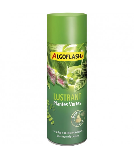 ALGOFLASH - Lustrant Plantes Vertes 250 mL