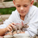 SCHLEICH - Tricératops - 15000 - Gamme Dinosaurs