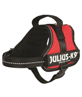 Harnais Power Julius-K9 - Mini-Mini - S : 40-53 cm-22 mm - Rouge - Pour chien