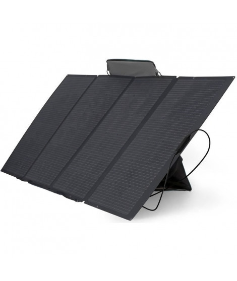 Panneau solaire 400W silicium monocristallin ECOFLOW IP68