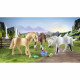 PLAYMOBIL 71356 3 chevaux Morgan, Quarter Horse et Shagya - Horses of Waterfall -  Des 5 ans