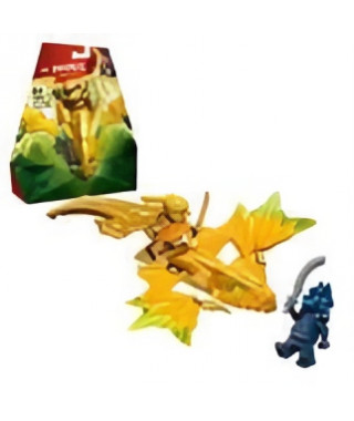 LEGO 71803 NINJAGO L'Attaque du Dragon Rebelle d'Arin, Jouet Ninja de Dragon et Figurines incluant Arin avec Mini-Katana