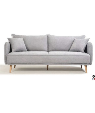 Canapé Fixe 3 places DAREN -Tissu Gris clair - Style scandinave -2 Coussins Déco - L 207 x P 90 x H 88 cm