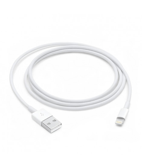 APPLE Câble Lightning vers USB 1 metre