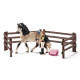 SCHLEICH - Kit de soin pour chevaux andalous - 42270 - Gamme Horse Club