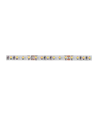 FLEXO LED 120 BLEU /CM