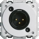 XLR MALE GALLERY NEUTRE BORNIER