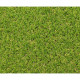 Gazon synthétoque EXELGREEN CAMPUS 2D - 1x5m - Epaisseur 25mm