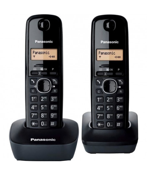 Panasonic KX-TG1612FRH Duo Téléphone Sans Fil Sans Répondeur Noir