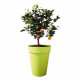 ELHO Loft Urban Pot de fleurs rond Haut 35 - Gris - Ø 34 x H 45 cm - extérieur - 100% recyclé
