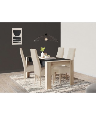 Ensemble Table a manger SHEFFIELD 170x90 cm + Chaise de séjour ELITE - DEMEYERE