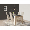 Ensemble Table a manger SHEFFIELD 170x90 cm + Chaise de séjour ELITE - DEMEYERE