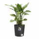 Elho Greensense Aqua Care Rond 43 - Gris - Ø 43 x H 43 cm - intérieurextérieur - 100% recyclé