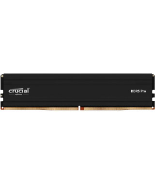 Mémoire RAM - CRUCIAL - PRO DDR5 - 24Go - DDR5-6000 - UDIMM CL48 (CP24G60C48U5)