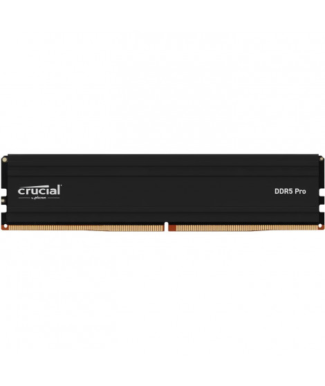 Mémoire RAM - CRUCIAL - PRO DDR5 - 24Go - DDR5-6000 - UDIMM CL48 (CP24G60C48U5)