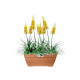 Elho Vibia Campana Bac a fleurs Terrasse 80 - Marron - L 77 x B 35 x H 33 cm - extérieur - 100% recyclé