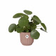 ELHO Vibes Fold Pot de fleurs rond Roues 35 - Rose - Ø 35 x H 32 cm - intérieur - 100% recyclé