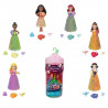 Coffret surprise 1 mini poupée color reveal + 5 accessoires - MATTEL - HRN63 - modele aléatoire