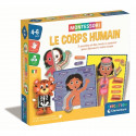 Montessori - Clementoni - Le Corps Humain - Jeu éducatif pour apprendre comment est fait le corps a l'interieur et a l'exteri…