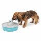 PetSafe - Fontaine a Eau Papillon pour chat et chien Drinkwell, 4 Différents Flux, Double Filtration, Facile a nettoyer, 1,5 L