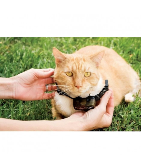 PetSafe - Collier pour chat, 4 niveaux de stimulation, léger, réglable et anti-étranglement, a Pile