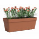 Jardiniere - Plastique - Terre cuite - Rectangulaire - L49,9 x P20 x H18,1cm - ARTEVASI