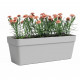 Jardiniere - Plastique - Gris clair - Rectangulaire - L49,9 x P20 x H18,1cm - ARTEVASI