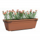 Kit Balcon Jardiniere - Plastique - Terre cuite - Rectangulaire - L60 x P20 x H17cm - ARTEVASI