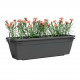 Kit Balcon Jardiniere - Plastique - Anthracite - Rectangulaire - L60 x P20 x H17cm - ARTEVASI