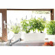 Jardiniere - DEROMA - Muret Save R - 75L - 79cm - Blanc