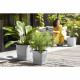 ELHO - Pot de fleurs  -  Greensense Aqua Care Carré 38 - Ciment Clair - Intérieur/extérieur - Ø 38 x H 38.9 cm