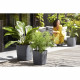 ELHO - Pot de fleurs  -  Greensense Aqua Care Carré 30 - Gris Charbon - Intérieur/extérieur - Ø 29.5 x H 30.2 cm