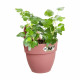 ELHO - Pot de fleurs -  Vibia Campana Easy Hanger Small - Rose Poussiere - Balcon extérieur - L 24.1 x W 20.5 x H 26.5 cm