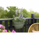 ELHO - Pot de fleurs -  Vibia Campana Easy Hanger Medium - Vert Pistache - Balcon extérieur - L 24.1 x W 36 x H 26.5 cm