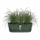 ELHO - Pot de fleurs  -  Greenville Easy Balcony 52 - Leaf Green - Balcon - L 21.2 x W 52 x H 19.4 cm