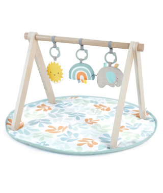 ITY de INGENUITY Sun Valley tapis d'éveil avec arche de jeu en bois, 3 jouets amovibles, pliable, des la naissance