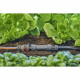 Centrale d'irrigation 1000 Connexion «Quick & Easy»  - 13333-20