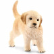 Schleich Figurine Chiot Golden Retriever - 16396 - Farm World