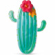 Matelas gonflable Intex Cactus