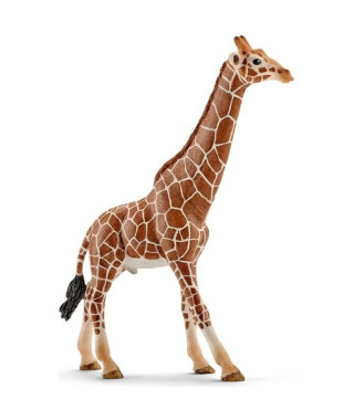 Schleich Figurine 14749 - Animal de la savane - Girafe mâle