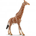 Schleich Figurine 14749 - Animal de la savane - Girafe mâle