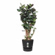 ELHO Greenville Pot de fleurs rond 55 - Noir - Ø 55 x H 50 cm - extérieur - 100% recyclé