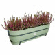 Elho Vibia Campana Balconniere Allin1 70 - Vert - L 70 x B 26 x H 17 cm - Balcon - 100% recyclé