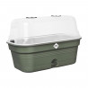 ELHO Green Basics Plateau De Culture Allin1 L - Vert - L 39 x B 23 x H 15 cm - culture et récolte - 100% recyclé