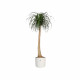 ELHO B.for Soft Pot de fleurs rond 35 - Blanc - Ø 35 x H 32 cm - intérieur - 100% recyclé