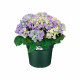 Elho Bac a fleurs Green Basics Cilinder 65 - Vert - Ø 64 x H 49 cm - extérieur - 100% recyclé