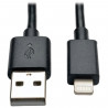 Tripplite Câble USB pour Iphone 6 - 30 cm - Noir